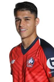 Maybe you would like to learn more about one of these? Luiz Araujo Lille Stats Palmares