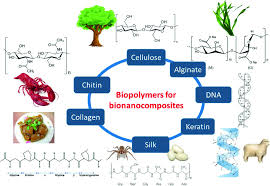 If you have information on bio mods or have one yourself post it here! Surface Modification Of Bio Polymeric Nanoparticles And Its Applications Springerlink