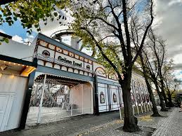 Image result for Grona