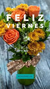 Maybe you would like to learn more about one of these? World Class Flowers Florist In Egg Harbor City 412 Fotos Facebook
