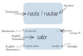 Latin Flash Cards Six More Summers Classical Conversations Teaching Latin Flashcards