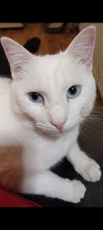 Boy found in Bellflower thanks to kind citizens