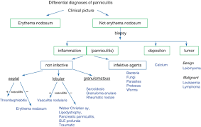 Image result for erythema nodosum