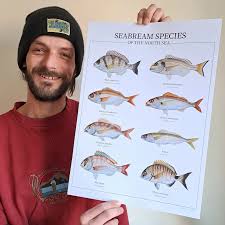 Image result for Rutidea orientalis