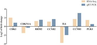 Polysaccharide of Atractylodes macrocephala Koidz alleviate  lipopolysaccharide-induced liver injury in goslings via the p53 and FOXO  pathways