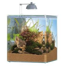 Eheim Aquastyle Nano Akvaryum Seti 35 Lt Akvaryum Urunler