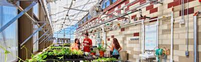 6 010 tykkäystä · 591 puhuu tästä · 1 295 oli täällä. Greenhouse Learning Community University Housing Uw Madison