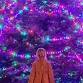 Light Up Somerset 2025 event image