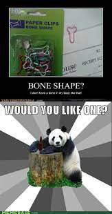 Memebase Bad Pickup Line Panda All Your Memes In Our Base Funny Memes Cheezburger