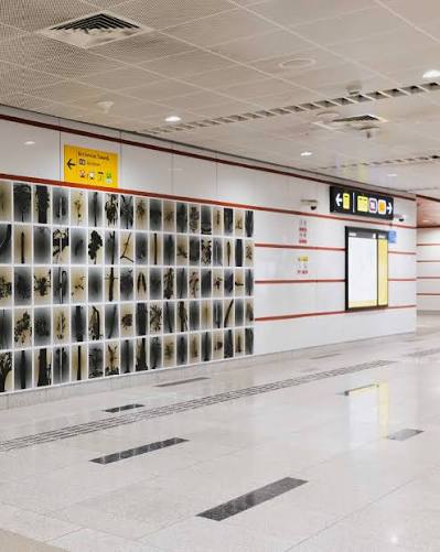 something in between Caldecott Station Part of Art in Transit: Along the way by LTA Big thanks to Ruth, Hazel, Colin and Mae @artoutreachsingapore for the amazing opportunity and supporting us across