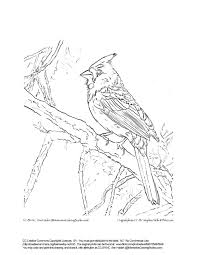 It only takes a few minutes to print out several coloring pages. Arizona Cardinals Coloring Pages Coloring Home