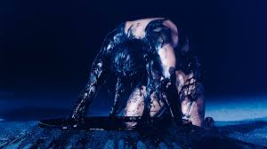 Bildergebnis für Joshua Serafin