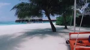 Salah satunya gili nanggu yang terletak dekat pelabuhan lembar, lombok barat ini. Tepi Pantai Yang Indah Steemit