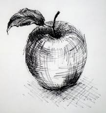 Cross Hatching With The Combination Use Of Layering And Contouring Of Lines Make The Use Of Outlines Redundant Sketches Drawing Sketches Drawings