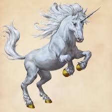 Image result for unicorn