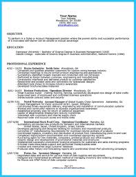 Outstanding Keys To Make Most Attractive Business Owner Resume