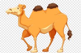There is a person holding the hockey stick standing behind him. Camel Cartoon Graphy Camel Cartoon Cartoon Character Mammal Painted Png Pngwing