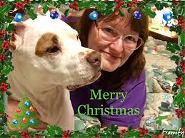 Christmas with shelter dogs