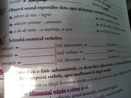 A face bilanţul, a înţelege, a înţelege/a spune corect, a realiza, înţelege, îşi da seama, pricepe, realiza, vedeahyper. Observa Sensul Expresiilor Date Apoi AlcÄtuieÈte EnunÈuri Cu Aceste Expresii Brainly Ro