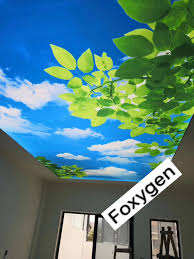 Diy Blue Ske Tree Design Uv Print Stretch Star Ceiling Fabrics Film Designs Cost Price For Living Room Office Kid Custom Murals Fabric Ceiling Mural Wallpaper