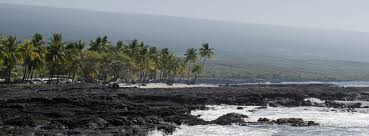 Maybe you would like to learn more about one of these? Hawaiian Islands The Hawaii Island Hopping Guide To Your Dream Holiday