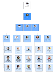 An organizational chart graphically represents an organization's structure, highlighting the different jobs, departments, and responsibilities that connect the company's employees to each other and to the management team. 7 Types Of Organizational Structures Lucidchart Blog