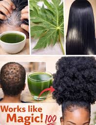 Papaya leaves: Don't do this hair treatment if you're not prepared for extreme  hair growth. 💚