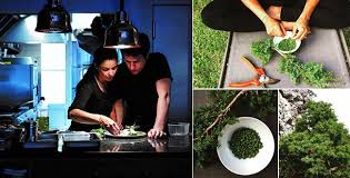 Le Resto Qui Donne Envie De Tomber Amoureux Apothicaire Tomber Amoureux Little Paris