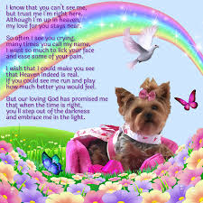 I Know That You Can T See Me Yorkie Pet Grief Dog Poems Pet Sympathy