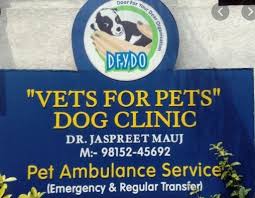 Microchipping service is available for pets identification. Vets For Pets Dr Jaspreet Vets