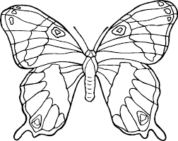 Butterfly coloring pages for kids, especially girls. Butterflies Coloring Pages Butterfly Coloring Page Animal Coloring Pages Free Printable Coloring Pages