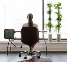 Browse through our list of mechanical engineering design project ideas and concepts to help in your mechanical engineering designs. Indoor Hydroponic Systems The Perfect Idea For A Home Garden
