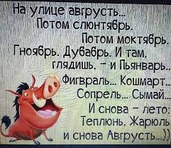 Смешные афоризмы в картинках (60 лучших фото)