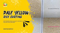 Meyer Dream UV Color Sorter Pale Yellow Rice Sorting || NICPL With Meyer  Color Sorter