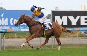 Image result for Black Opal 2011 HS