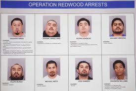San Jose Murder Suspect 7 Others Arrested In Gun Crime
