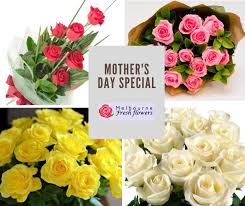 We did not find results for: Just A Gentle Reminder To Order Soon For Melbourne Fresh Flowers Facebook