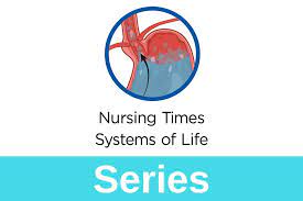 Effects Of Bedrest 3 Gastrointestinal Endocrine And Nervous Systems Nursing Times