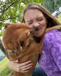 Honey has been with us since April. Through spring blooms, summer  heatwaves, and countless sunsets, she's spent every day waiting in a  kennel... Without any applications or meet-and-greets. She's poured her love