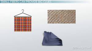 You made it to the site that has every possible answer you might need regarding la times crosswords.this is one of the best crosswords, crafted to make you enter a journey of word exploration. Fiber Analysis In Forensics Procedure Results Video Lesson Transcript Study Com