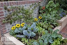 Small front yard landscaping can make use of larger, ornamental plants, giving an illusion of an extensive space. Edible Landscaping Vegetables For Your Front Yard Garden