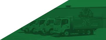 Maybe you would like to learn more about one of these? Home Accelerated Waste