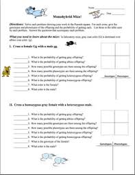 Do you know any twin brothers or sisters? Monohybrid Cross Worksheet Oompa Loompa Genetics Answer