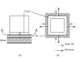As an alternative to deep frying, shallow frying is used to lend a crispy texture to small, delicate foods without the need to completely submerge them in oil. 1 Heat And Mass Transfer In A Shallow Frying And B Deep Fat Frying Download Scientific Diagram