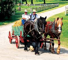 I have a list of activities fo. Great Places To Visit During Spring Break Week Nj Family