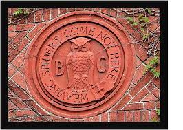 Check spelling or type a new query. Spiders Halloween For All