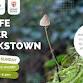 Wildlife Wander in Cookstown