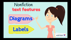 Maybe you would like to learn more about one of these? Text Feature 03 Diagrams And Labels Youtube