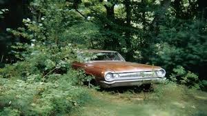 Image result for Dark Green 1964 Dodge