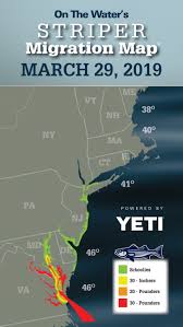 Striper Migration Map March 29 2019 On The Water